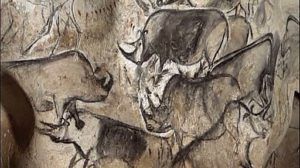  Rhino drawings from the Chauvet Cave, about 30,000 to 32,000 years ago 